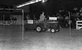 Woman driving a small tractor pulling a trailer in the arena at the 1977 Little International Agricultural Exposition at South Dakota State University. The tractor was provided complements of Eugene Beckman & Sons Implement and Running's.
