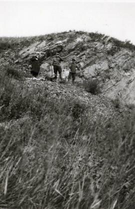 N.E. Hansen and two assistants are gathering specimens in their search for hardy peach trees in Mendoche in northern China in 1924; written in pencil on the back: Mendoche, North China 1924.