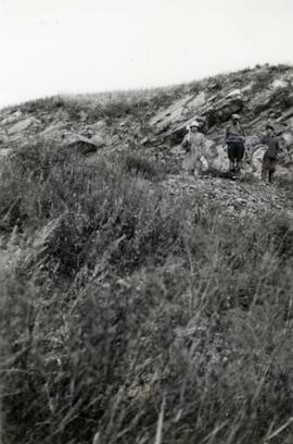 Assistants to N.E. Hansen gather specimens in their search for hardy peach trees in northern Chin...