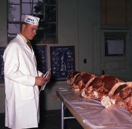 Man inspecting cuts of meat on a table during meat judging in the meat lab at the 1971 Little International exposition at South Dakota State University.