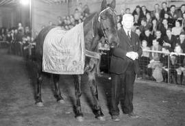Man showing the horse "Captain Dan" at the 1937 Little International Exposition at South Dakota State College.
