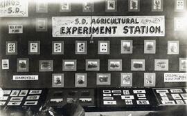 South Dakota Agricultural Experiment Station display featuring examples of new hybrid plums, ornamentals, and crossing and selection work of N.E. Hansen.
