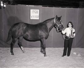 Woman holding a trophy stands by her prize winning horse at the 1968 Little International exposition at South Dakota State University. Sign of the wall reads: 1968 Winner.