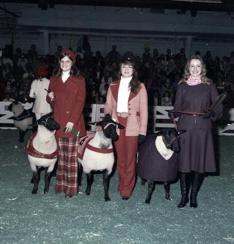 Women and sheep dressed in similar costumes at the 1974 Little International Agricultural Exposition at South Dakota State University.