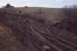 Gully erosion in a pasture on the Prairie Coteau near Seiche Hollow State Park in South Dakota