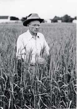 Edgar S. McFadden kneeling in a wheat field