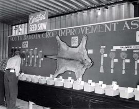 Black-and-white photograph of the South Dakota Crop Improvement Association booth the certified seed show