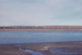 Sandbars, river channel, and border of dense cottonwood forest at the Garrison Reach of the Missouri River in North Dakota.
