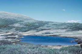 Alpine tundra and lake near timberline of the Rocky Mountains in Colorado.