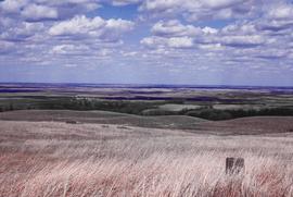 Border of South and North Dakota (looking north) on the north edge of the Prairie Coteau (granite marker on border).