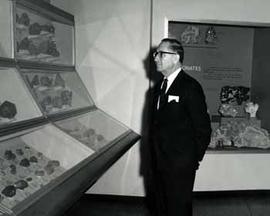 Congressman Ben Reifel looks at an exhibit in the Museum of Natural History at the Smithsonian Institution in 1966