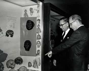 T. Dale Stewart and Congressman Ben Reifel look at an exhibit at the Smithsonian Institution in 1966