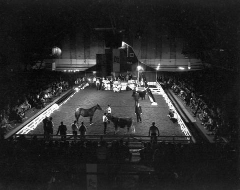 View of the audience and the arena during livestock judging at the 1966 Little International exposition at South Dakota State University.