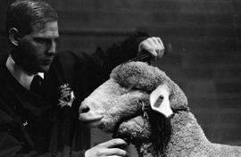 Man in the arena with a sheep during judging at the 1998 Little International exposition at South Dakota State University.