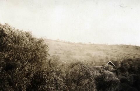 N.E. Hansen's mountain headquarters is nestled in the trees while conducting pear research at Saolin in northern China; written in pencil on the back: Saolin, China my headquarters fro pears in the mountains 1924.