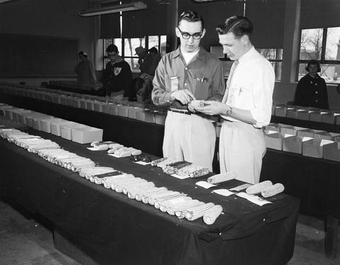 Two men looks at ears of corn while other people look at seed samples during the 1958 Little International Exposition at South Dakota State College.