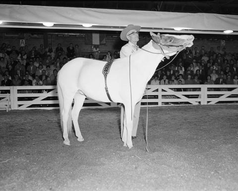 Ed Pillar and his trained horse performs tricks to entertain the audience in the arena at the 1963 Little International Exposition at South Dakota State College.