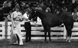 Woman wearing a formal dress in the arena with another woman and a horse during the 1978 Little International Agricultural Exposition at South Dakota State University.