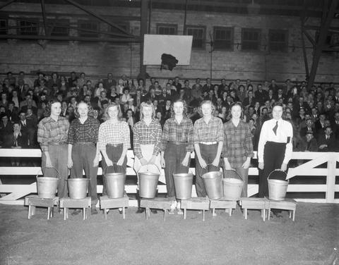 Women participants in the cow milking contest in the arena at the 1946 Little International Exposition at South Dakota State College.