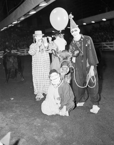 Three clowns and a cow pose for a photograph in the arena at the 1960 Little International Exposition at South Dakota State College. One clown is holding a balloon.