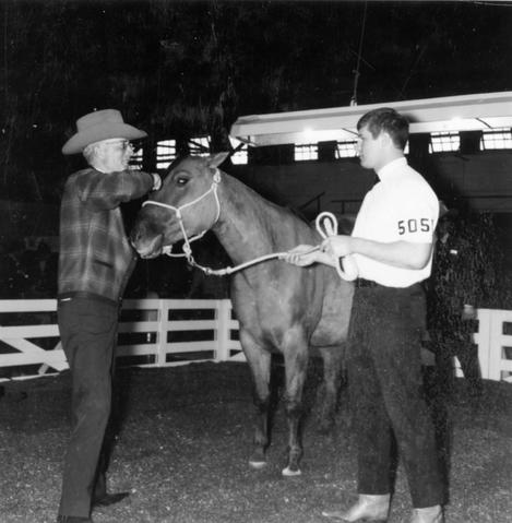 Judge inspecting a horse while a man stand to the right during horse judging at the 1969 Little International exposition at South Dakota.