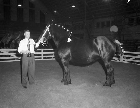 Kenneth Lounsbery won best freshman in the Horse Division at the 1946 Little International Exposition at South Dakota State College.