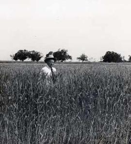 Edgar S. McFadden in a wheat field