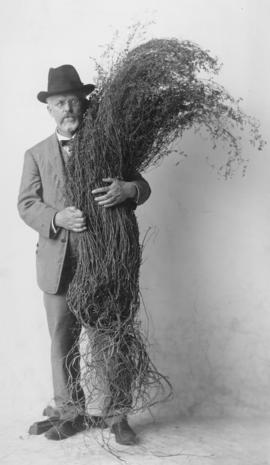 N.E. Hansen holding alfalfa in his arms.