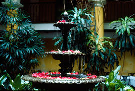 Fountain in a courtyard in Cuba