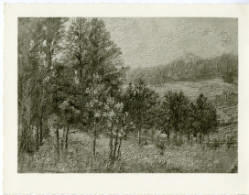 Postcard reproduction of landscape painting of trees